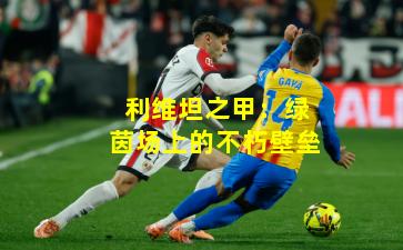 利维坦之甲:绿茵场上的不朽壁垒