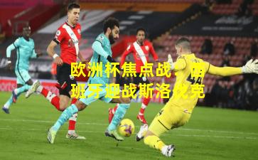 欧洲杯焦点战:西班牙迎战斯洛伐克