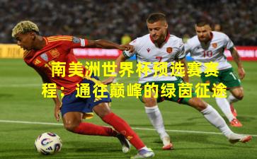 南美洲世界杯预选赛赛程：通往巅峰的绿茵征途