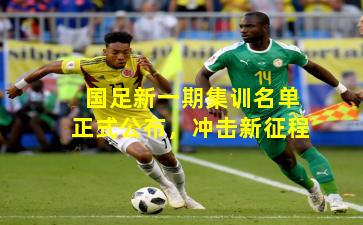 国足新一期集训名单正式公布，冲击新征程