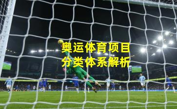 奥运体育项目分类体系解析