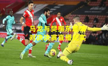 马龙与樊振东巅峰对决决赛直播纪实