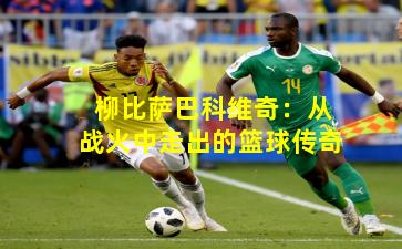 柳比萨巴科维奇：从战火中走出的篮球传奇