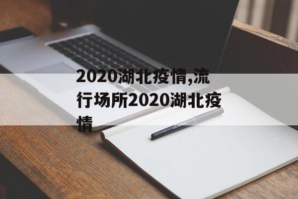 2020湖北疫情,流行场所2020湖北疫情